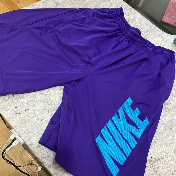 Nike Other - Nike Shorts - Size L